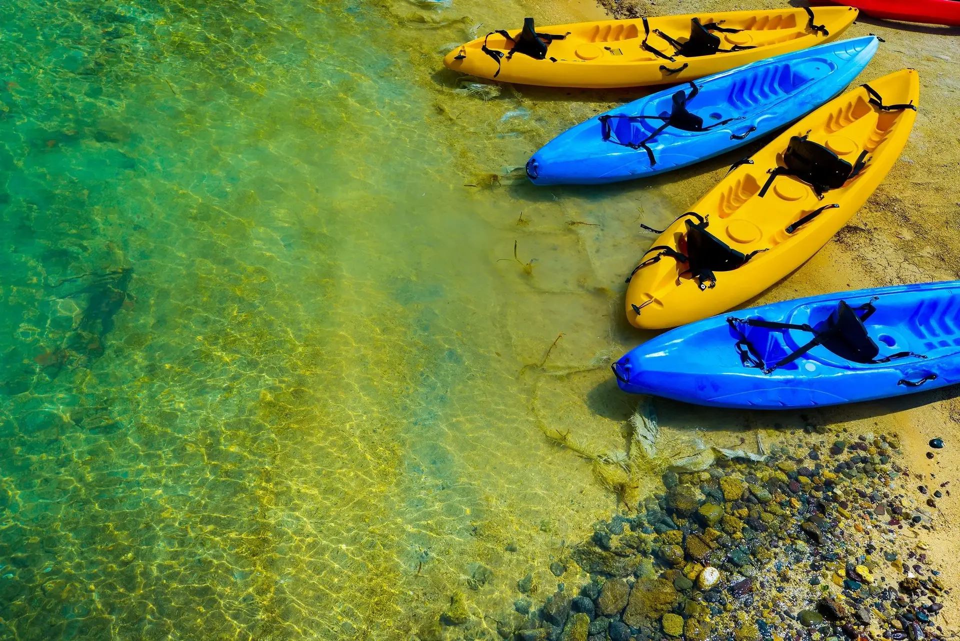 Blue and yellow kayaks floating near the shore with rocks.